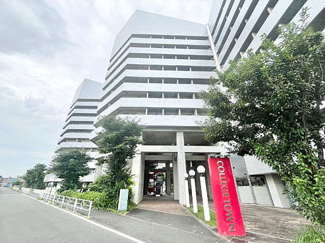 5 / 20