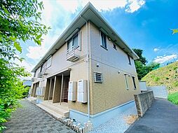 メルヴィ―ユ 203