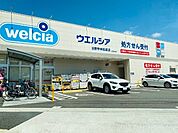 ドラッグストア 「ウエルシア日野甲州街道店まで683m」