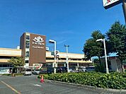 スーパー「スーパーアルプス日野店まで1147m」