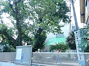幼稚園、保育園「第二小羊チャイルドセンターまで880m」