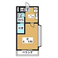 エスポワール4階9.9万円
