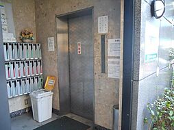 7 / 11