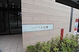17 / 34