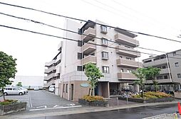 スペランツァ松ヶ丘