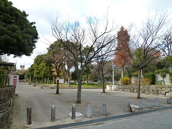 画像27:大井戸公園