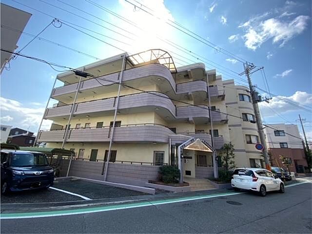 3 / 11