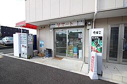 6 / 9