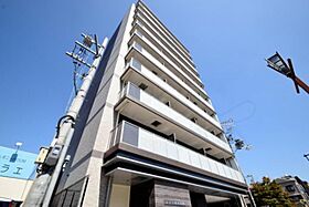 メゾン田中平野  ｜ 大阪府大阪市平野区平野東３丁目5番22号（賃貸マンション1K・10階・30.53㎡） その1