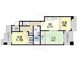 ピカソ平野 3DKの間取図画像