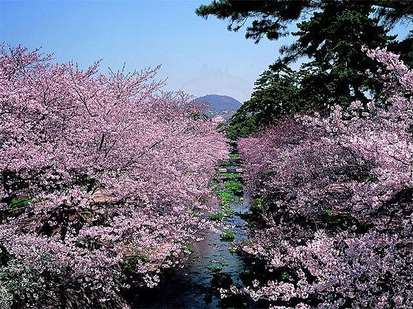 カネシマハイツ ｜兵庫県西宮市段上町２丁目(賃貸アパート1K・2階・22.00㎡)の写真 その29