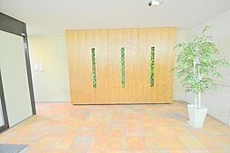 16 / 31