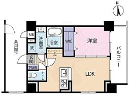グラッドメゾン立花 1LDKの間取図画像
