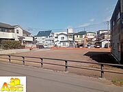 2026.3.23撮影