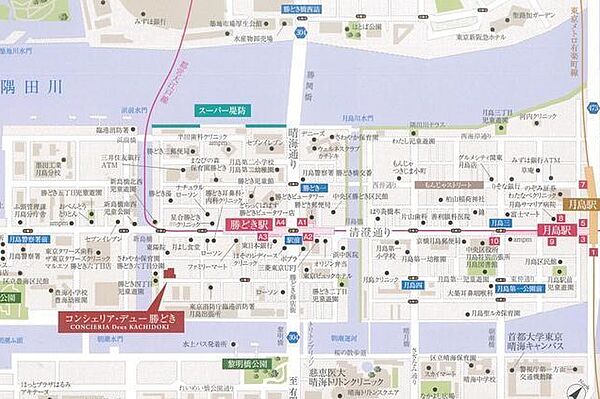 コンシェリア・デュー勝どき 804｜東京都中央区勝どき４丁目(賃貸マンション1LDK・8階・41.37㎡)の写真 その17