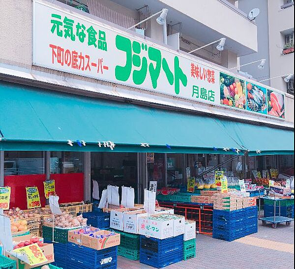 ワンルーフフラット月島 509｜東京都中央区月島４丁目(賃貸マンション1K・5階・25.02㎡)の写真 その18