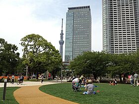 パークアクシス錦糸公園 906 ｜ 東京都墨田区錦糸４丁目10-4（賃貸マンション1LDK・9階・31.08㎡） その18