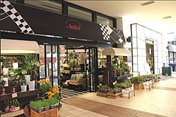 あおき豊洲店[883m]