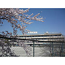 高倉小学校