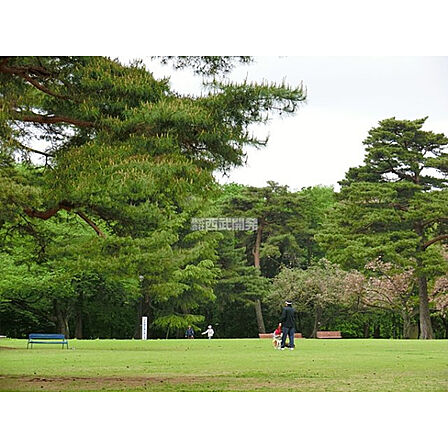 狭山稲荷山公園