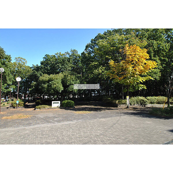 周辺を拡大表示
