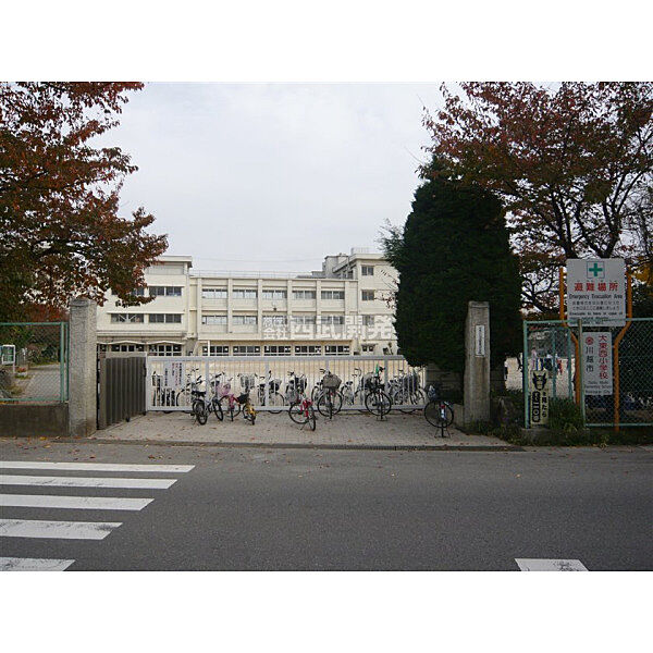 周辺を拡大表示
