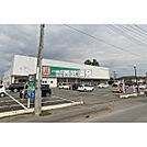 ドラッグセイムス 日高原宿店