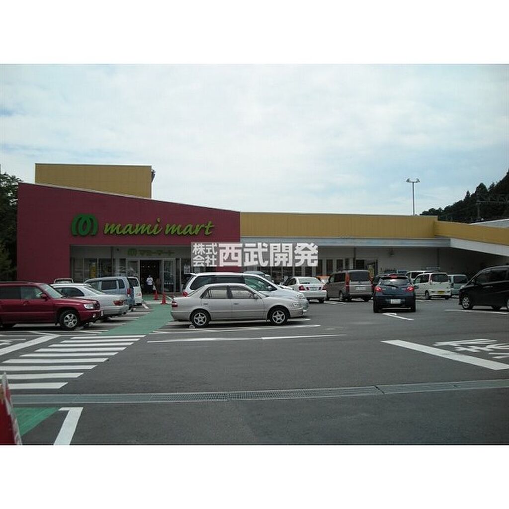 Image 63
