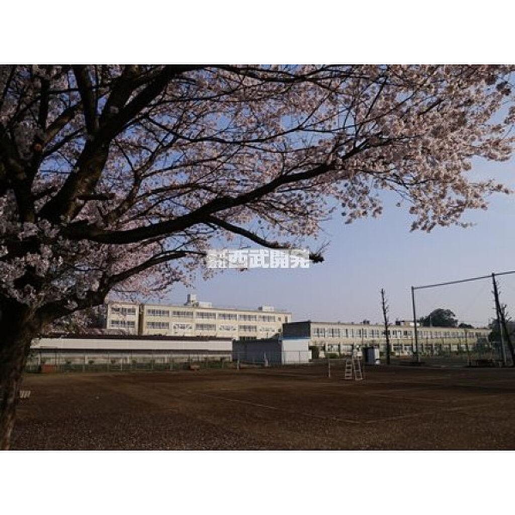 Image 61