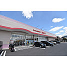 ファッションセンターしまむら新河岸店