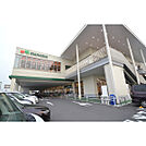 マルエツ三橋店