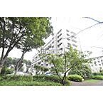 埼玉県志木市館2丁目：物件画像