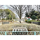 青葉台公園