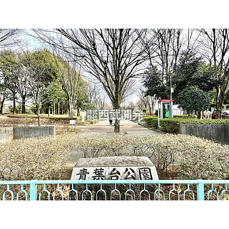 青葉台公園