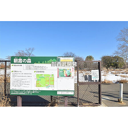 朝霞の森