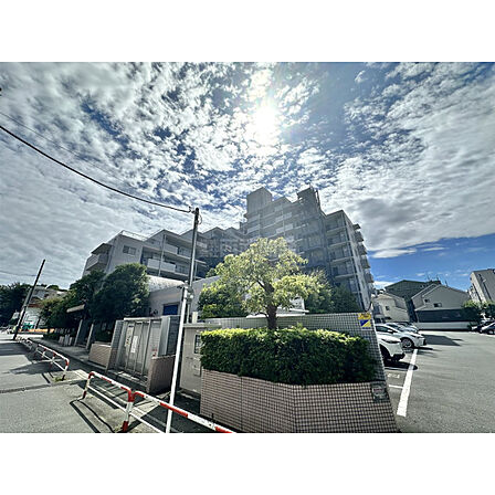 3路線2駅利用できる低層住宅街で静かな住環境です。またベルクをはじめ近くにはスーパーが多数点在しており、公園、コンビニ、飲食店など大変便利な環境です是非ご見学ください。