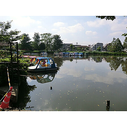 石神井公園