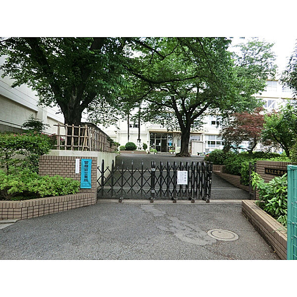 周辺を拡大表示