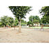 周辺：高野台中央公園