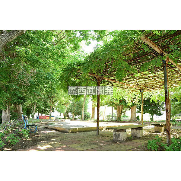 周辺を拡大表示