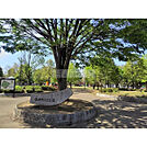 勝瀬原記念公園