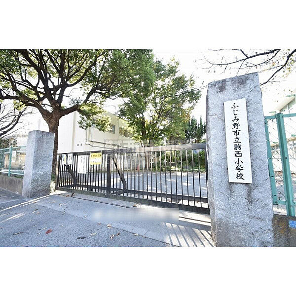 周辺を拡大表示