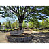 周辺：勝瀬原記念公園