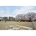 周辺：福岡中央公園