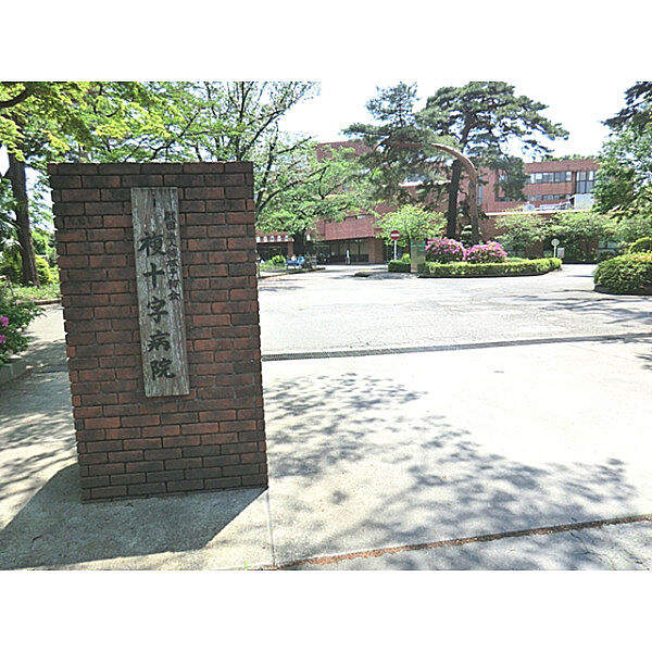 周辺を拡大表示