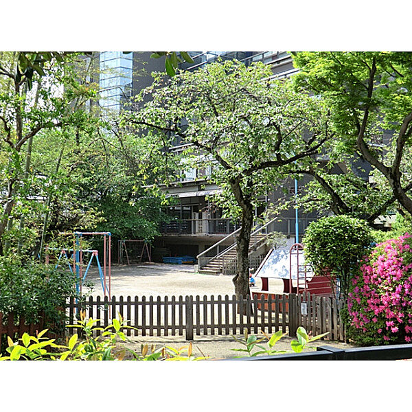 周辺を拡大表示