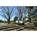 周辺：金山緑地公園