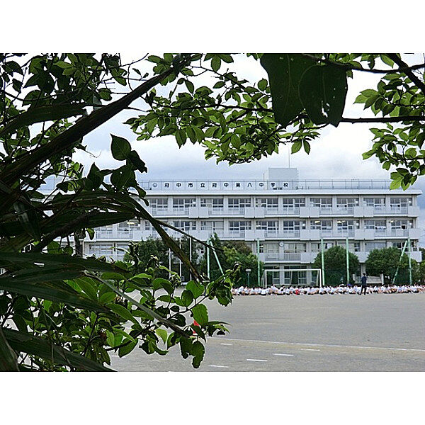 周辺を拡大表示