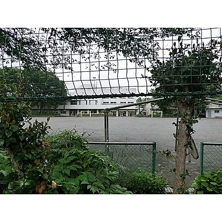 第四小学校