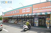 ドラッグセガミ井高野店 598m